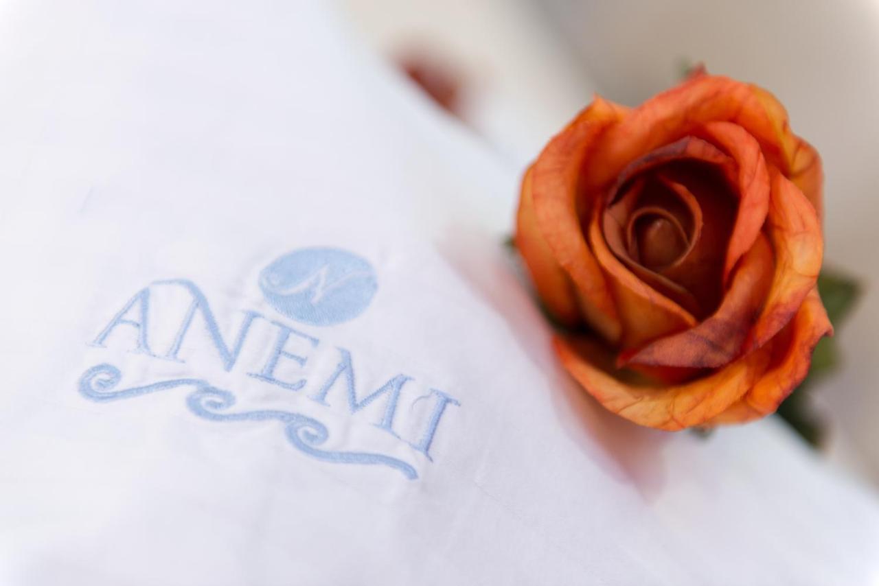 Anemi Leros Apartments Panteli Room photo
